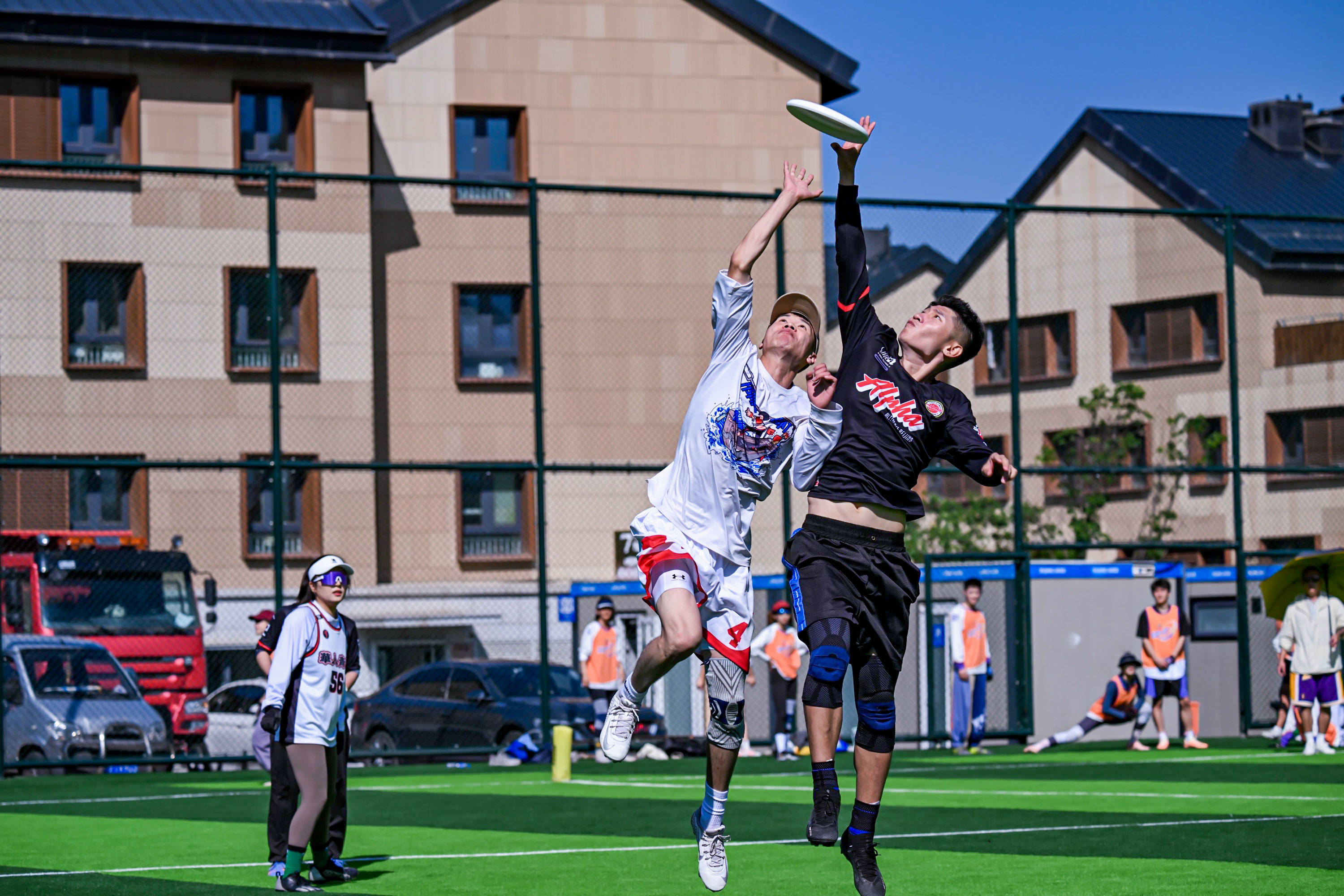 "飞盘运动嘉年华：趣味合作的极致体验"的简单介绍