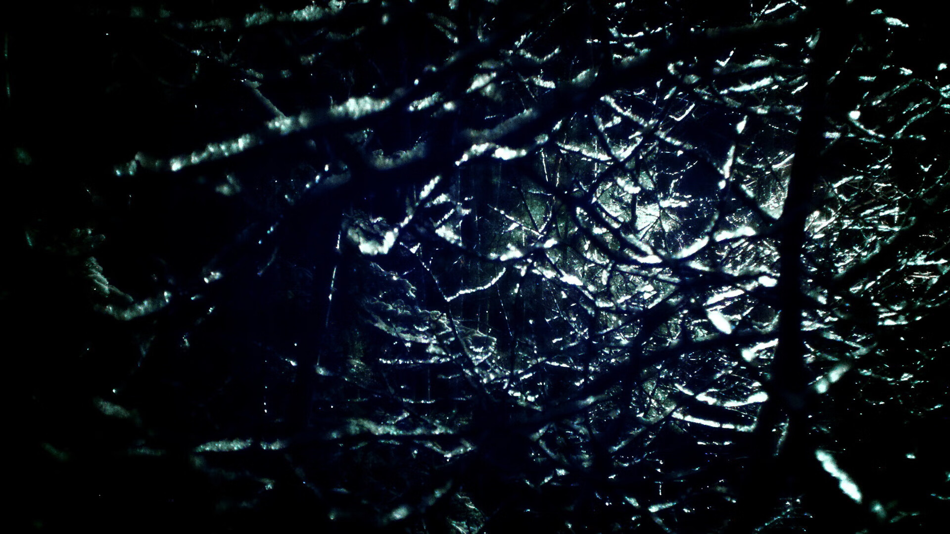 _追梦青少足球季：开启未来足球之门_，追梦足球放飞梦想