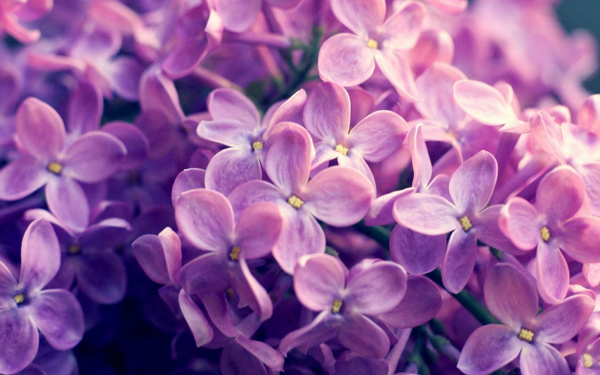 【夺冠故事】丁俊晖:坚持不懈的决胜战术,丁俊晖成名的一场比赛视频