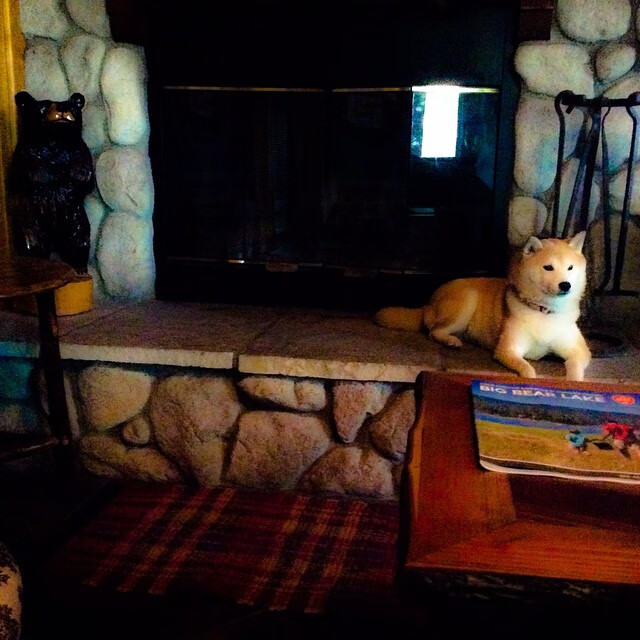 中国足球产业“创新+升级”，青训行业持续领跑未来，我国足球青训发展现状