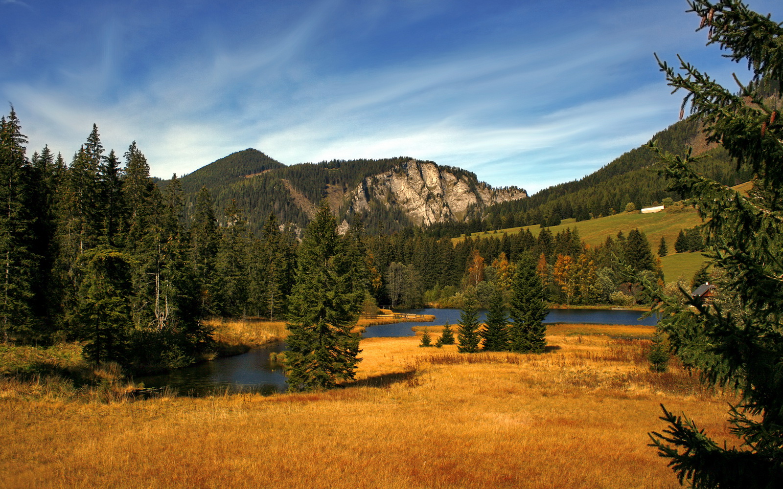 反击节奏：北京队利用快攻连续得分，拉开差距！，北京队被绝杀