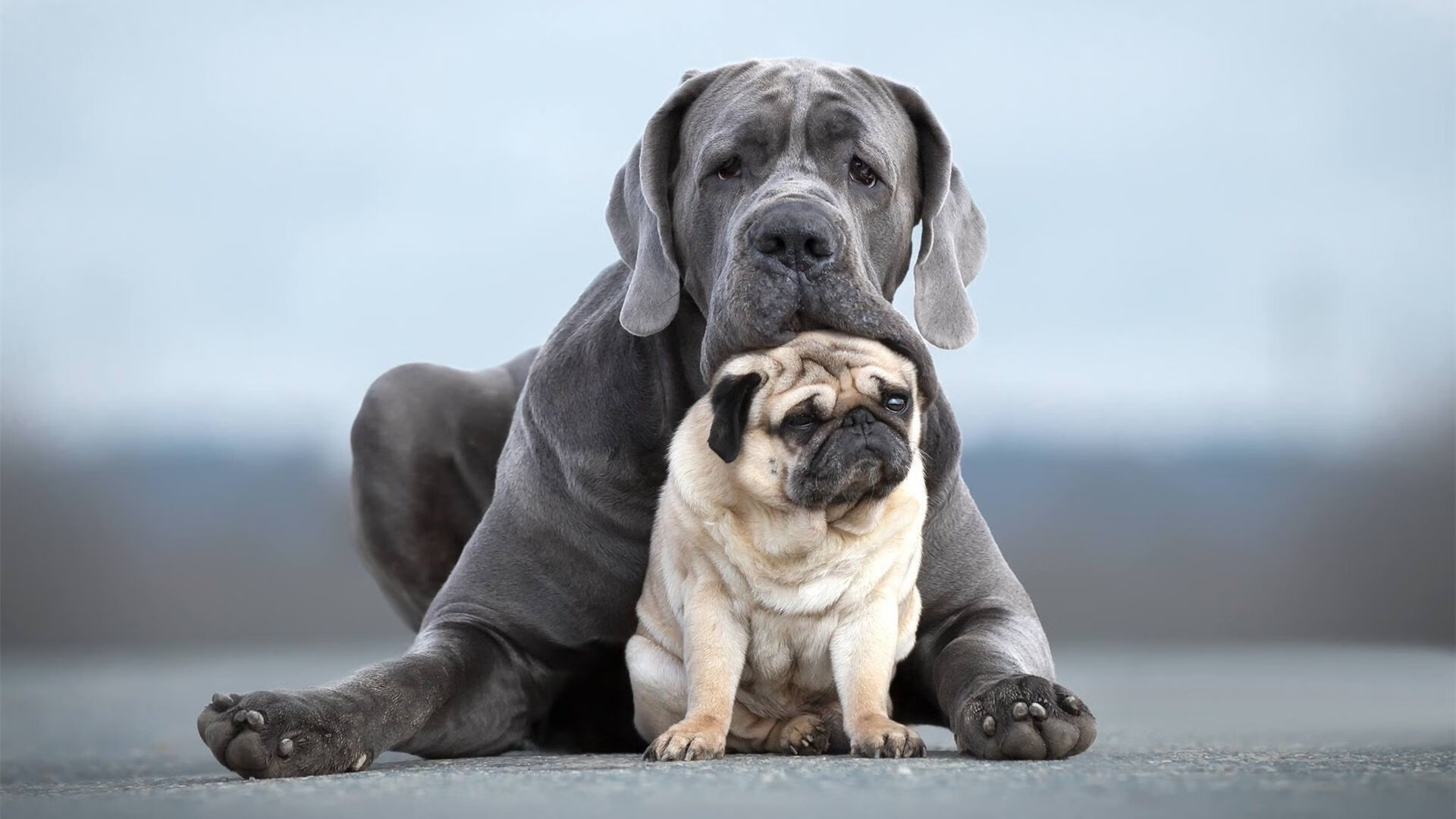 墨西哥队中场卡瓦尼在巴黎奥运会上展现出强大的进攻组织能力，墨西哥瓦哈卡文化
