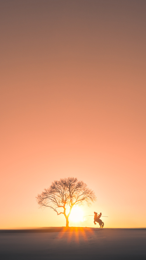 TL被评为北美最具商业潜力战队之一，北美tl战队 百度百科