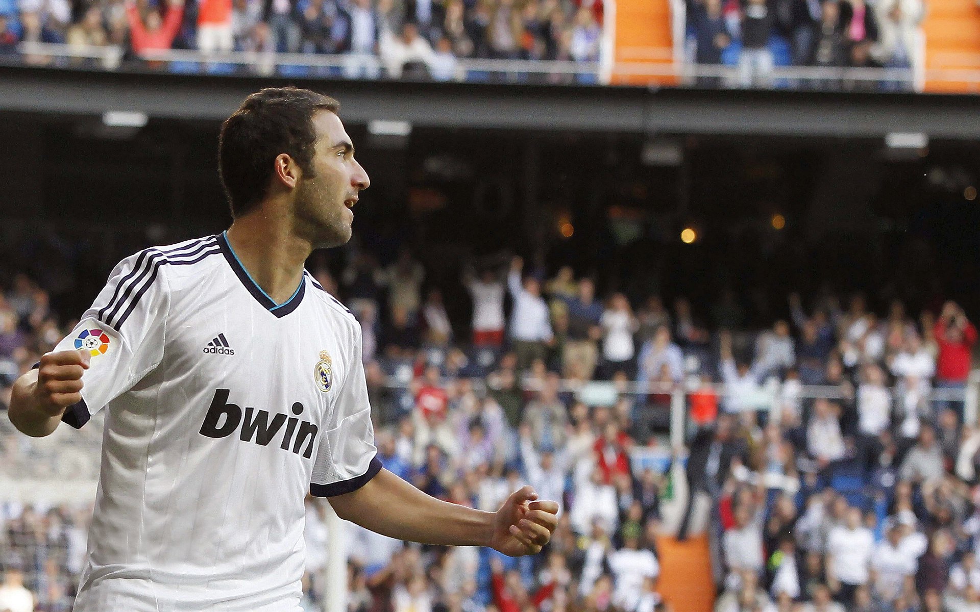 寻求破门：柏林联盟对决弗赖堡求首胜，柏林联合球迷