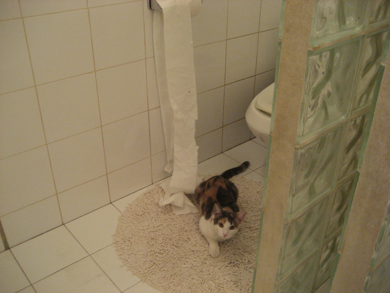 射手关键进球助力球队取胜，射手在篮球比赛中叫什么