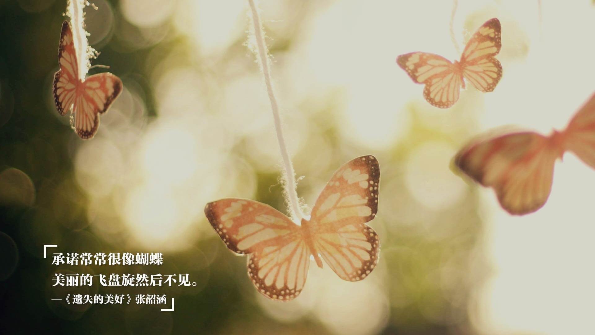 沈阳东进在主场迎战江苏苏宁，双方都渴望分的胜利！，沈阳苏宁东中街营业时间