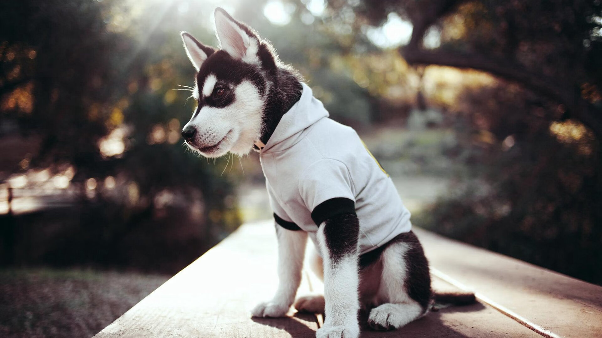 球队防守疲软，三分球逐渐成为软肋，防守三分的战术