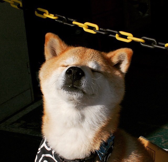 中小学体育课程多样化发展探讨，中小学体育课程教学改革