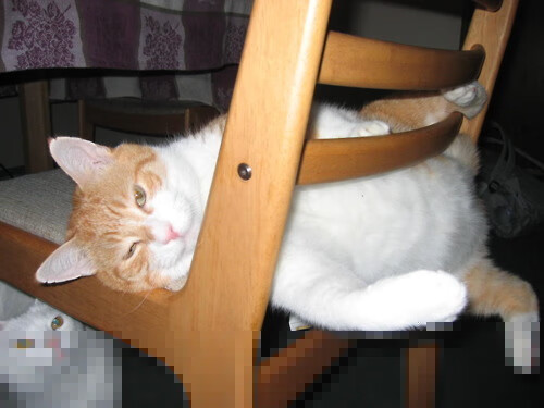 中国男篮防守强度显著提高 球队默契增强，中国男篮面临一个可怕的对手