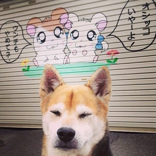 体育新闻中心启动区域体育媒体协同发展机制，体育媒体工作