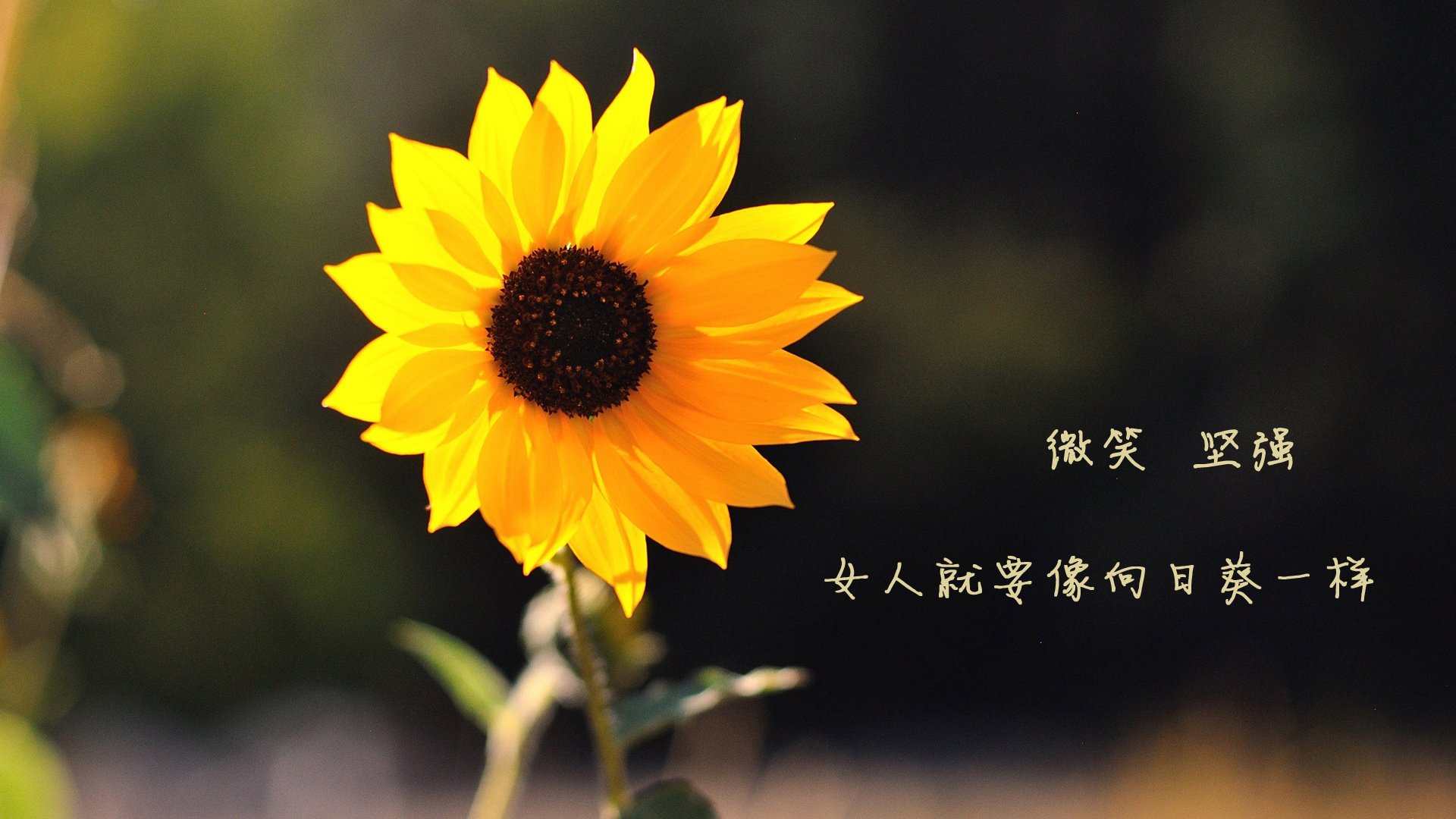 羽毛球奥运双打组合进行战术配合训练，奥运会羽毛球双打小组赛规则