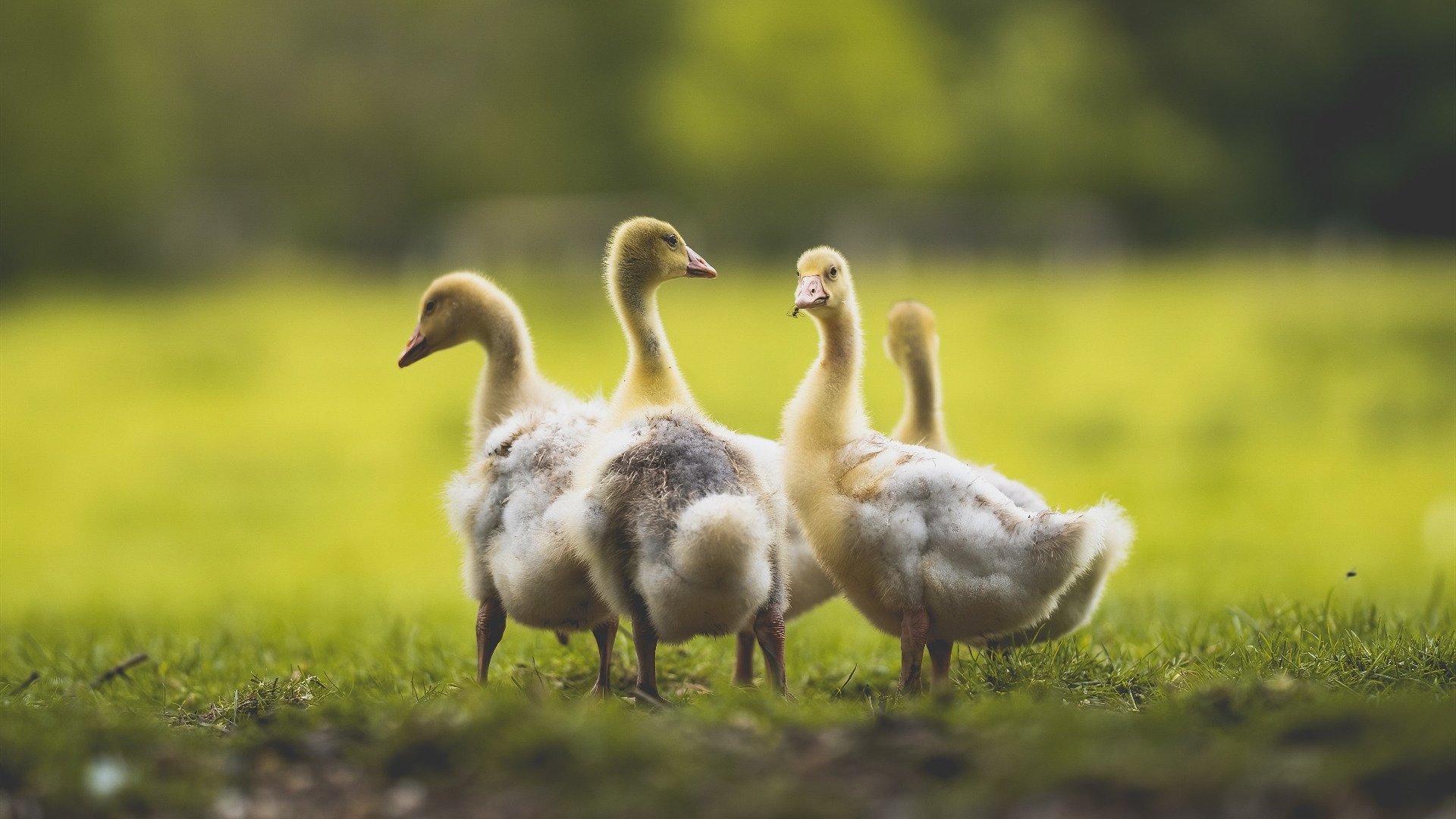 高校体测引入智能设备确保数据精准，高校体质测试