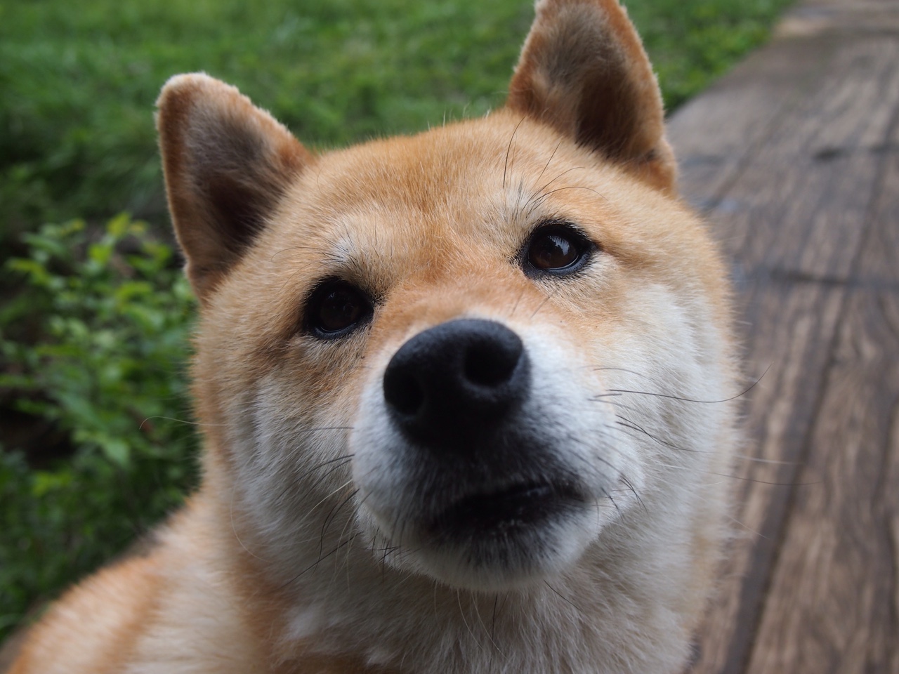 欧洲杯激战不断：战术创新点燃赛场激情，欧洲杯 激光