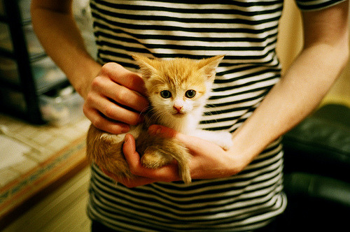 萨尔瓦多男篮在中美洲锦标赛中拼搏奋战，迈向新高度